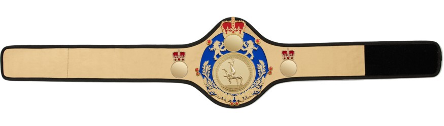 QUEENSBURY PRO LEATHER WRESTLING CHAMPIONSHIP BELT - QUEEN/BLUE/G/WRESTG - 10+ COLOURS QUEENSBURY PRO LEATHER WRESTLING CHAMPIONSHIP BELT - QUEEN/BLUE/G/WRESTG - 10+ COLOURS